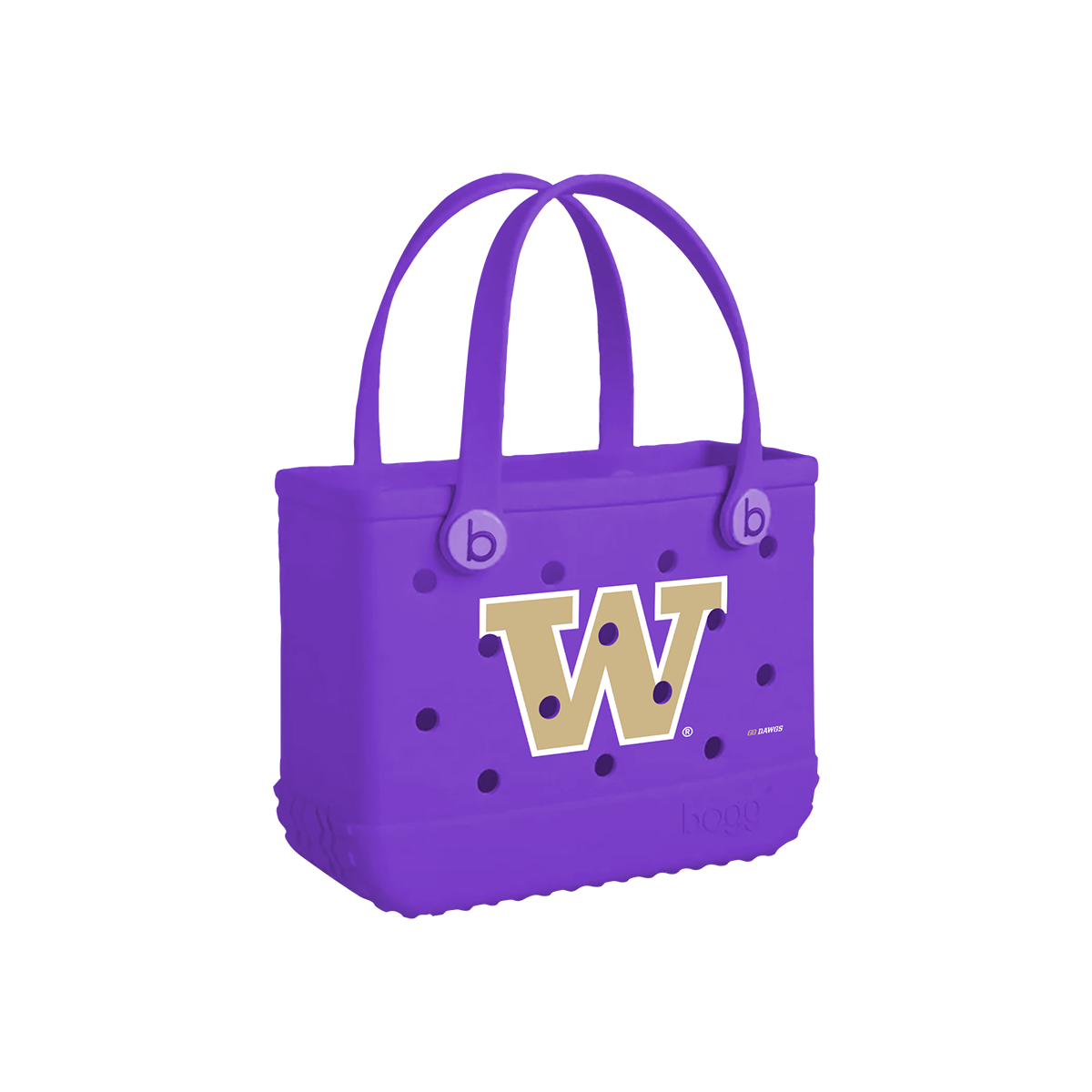 Bitty - Washington Huskies C1
