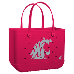 Original - Washington State Cougars Y1