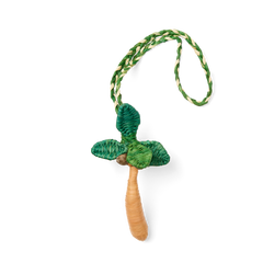 Bogg'd & Charmed - Raffia Palm W5